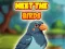 Leikur Meet The Birds á netinu