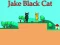 Leikur Jake Black Cat á netinu
