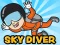 Leikur Skydiver á netinu