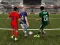Leikur Asian Cup Soccer á netinu