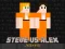 Leikur Steve vs Alex Jailbreak á netinu