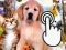 Leikur Pets Clicker á netinu