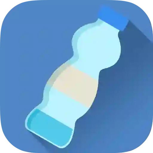 Leikur Bottle Flip Challenge á netinu