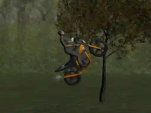 Leikur Mountain Bike Rider á netinu