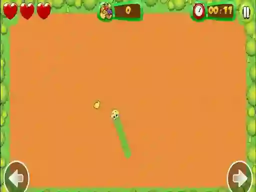 Leikur Fruit Snake á netinu
