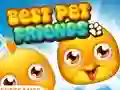 Leikur Best Pet Friends á netinu