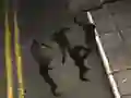 Leikur Zombie Reborn á netinu