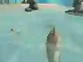 Leikur Shark Simulator Beach Killer á netinu