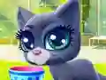 Leikur Happy Cat á netinu