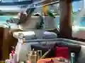 Leikur Caribbean Crime á netinu