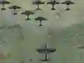 Leikur Wings Of Glory á netinu