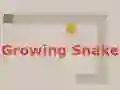 Leikur Growing Snake á netinu