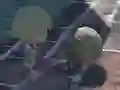 Leikur Zombie Run á netinu