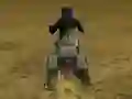 Leikur Real Moto Stunts Challenge á netinu