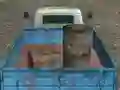 Leikur Cargo Drive á netinu