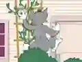 Leikur Tom und Jerry: Wasserbomben Wahnsinn á netinu