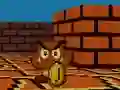 Leikur Mario FPS á netinu