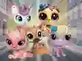 Leikur Little Pet Shop: Hide and Seek á netinu