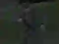 Leikur Soviet Sniper á netinu