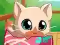 Leikur My Pocket Pets Kitty Cat á netinu