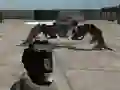 Leikur Mech Aggression á netinu