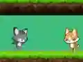 Leikur Cat vs Dog á netinu