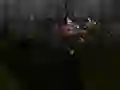 Leikur Zombie Survival á netinu