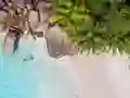 Leikur Seychelles Beach Jigsaw Puzzle á netinu