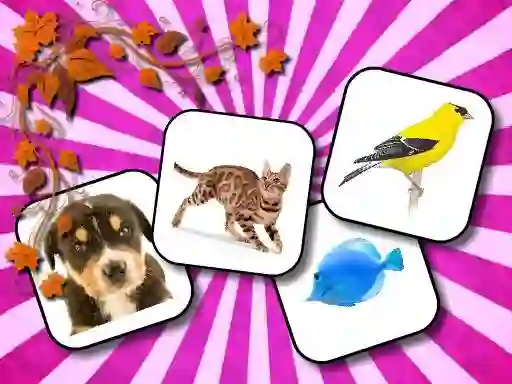 Leikur Animals Memory á netinu