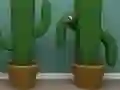 Leikur Cactus Cube á netinu