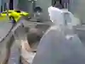 Leikur Z Day Shootout á netinu