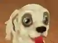 Leikur Pet Run Adventure á netinu
