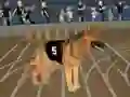 Leikur Crazy Dog Racing Fever á netinu