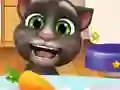 Leikur Talking Tom Hidden Stars á netinu
