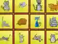 Leikur Cats Findiff á netinu