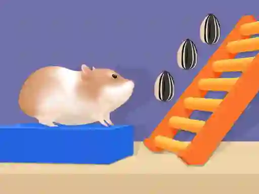 Leikur Hamster Stack Maze á netinu