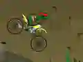 Leikur Ninja Turtle Bike á netinu