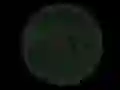 Leikur Stickshot 2 á netinu