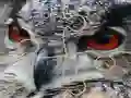 Leikur Wild owl Jigsaw á netinu
