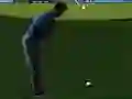 Leikur Flash Golf 3D á netinu