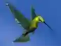 Leikur Hummingbird House Escape á netinu