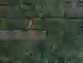 Leikur Bunny Adventure á netinu