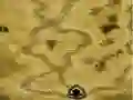 Leikur Gemcraft Chapter Zero á netinu