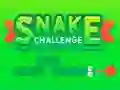 Leikur Snake Challenge á netinu