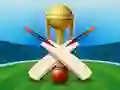 Leikur Cricket Champions Cup á netinu