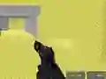 Leikur Pixel Combat Multiplayer á netinu