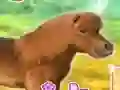 Leikur My Dear Pony á netinu