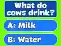 Leikur Trivia Best Family Quiz á netinu
