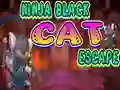 Leikur Ninja Black Cat Escape á netinu