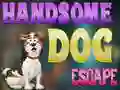 Leikur Handsome Dog Escape á netinu